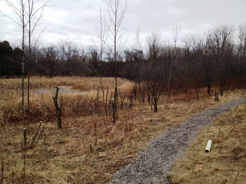 Census trail - view of Stoneycroft Pond