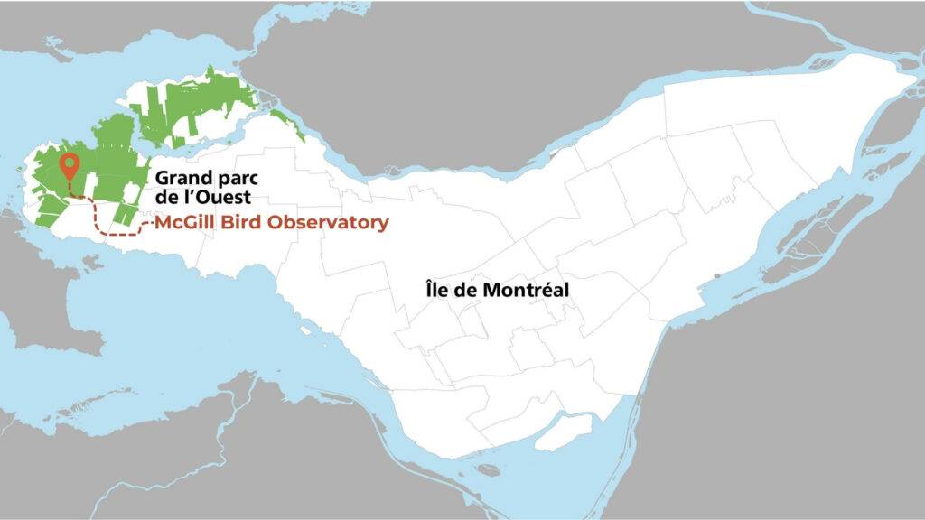 McGill Bird Observatory