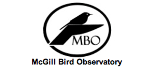 MBO-logo-web